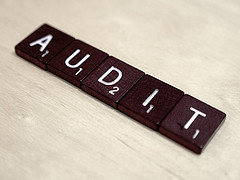 Why Do We Need to Audit